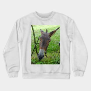 THE PANASONIC FZ 1000  PAR OKAIO CREATION Crewneck Sweatshirt